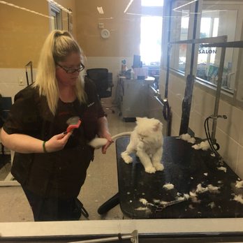 Petco - Pet Groomers Near Me - Naples, Florida Petco - Pet Groomers Near Me - Naples, Florida