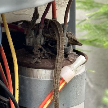 Pioneer HVAC - Lizard wrapped around the capacitor in an air conditioner. - Heating & Air Conditioning/HVAC Near Me - Irvine, California Pioneer HVAC - Lizard wrapped around the capacitor in an air conditioner. - Heating & Air Conditioning/HVAC Near Me - Irvine, California