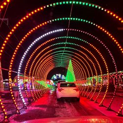 Christmas in Color - Aurora