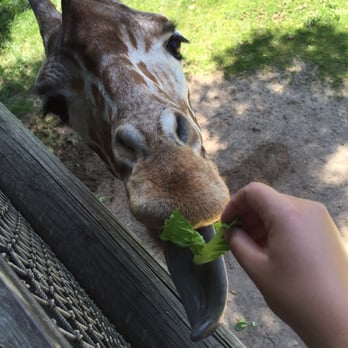 Binder Park Zoo - Yum! - Zoos Near Me - Battle Creek, Michigan Binder Park Zoo - Yum! - Zoos Near Me - Battle Creek, Michigan