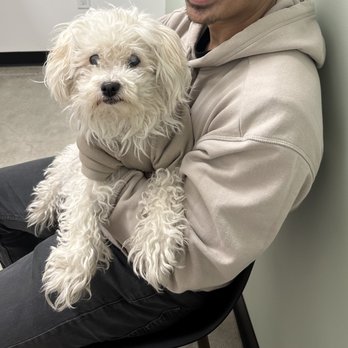 Sunset Veterinary Center - My fur baby - Veterinarians Near Me - Diamond Bar, California