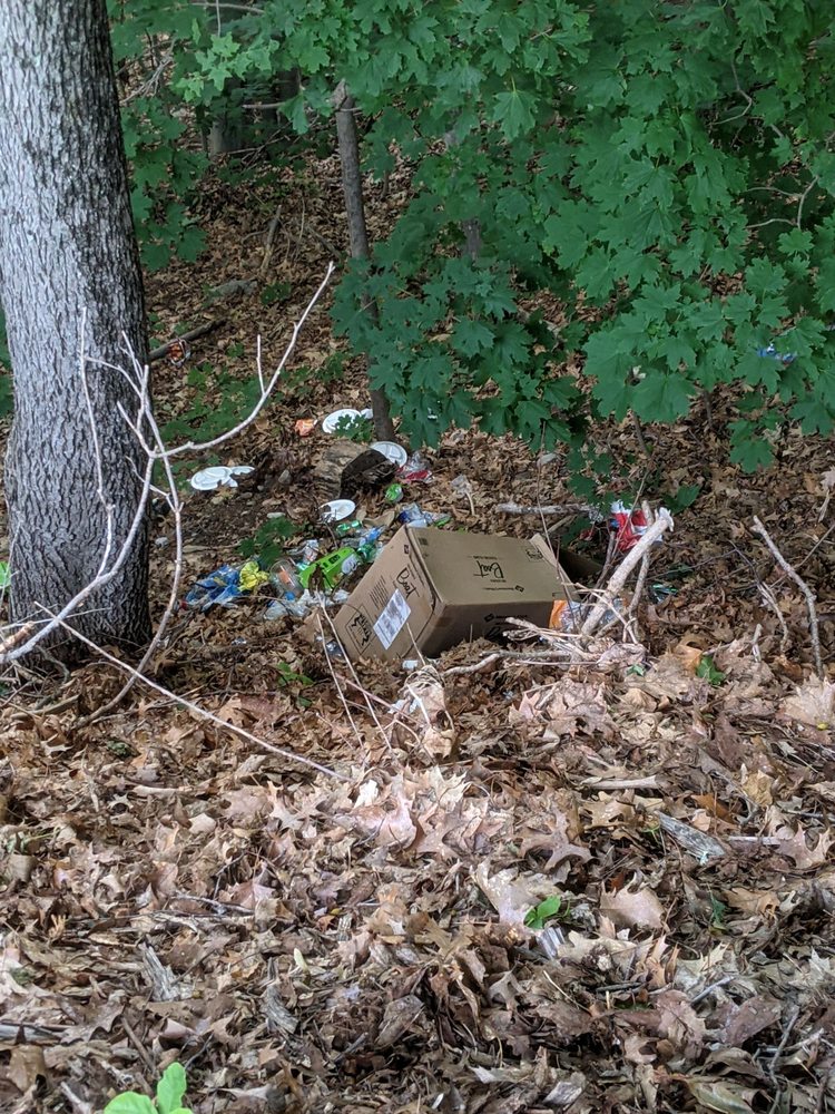 POND BEACH Updated October 2024 38 Photos & 11 Reviews