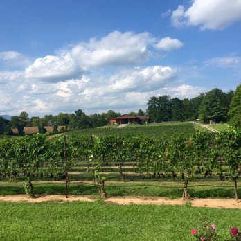 Round Peak Vineyards - Looking back at winery from out in the vines - Wineries Near Me - Mount Airy, North Carolina Round Peak Vineyards - Looking back at winery from out in the vines - Wineries Near Me - Mount Airy, North Carolina