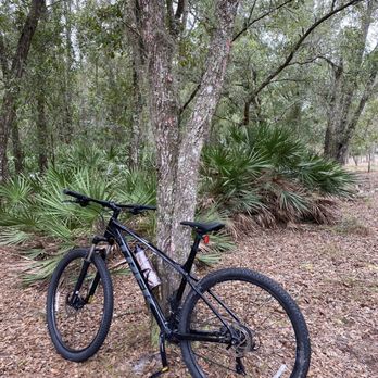 Morris Bridge Park - Recreation Centers Near Me - Thonotosassa, Florida Morris Bridge Park - Recreation Centers Near Me - Thonotosassa, Florida