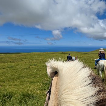 Paniolo Adventures - Horseback Riding Near Me