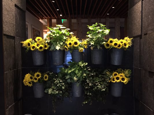 Hotel Vermont by null