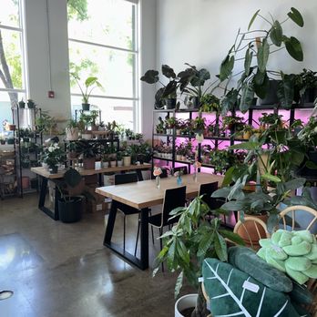 Bloomsgiving - Trying a new coffee spot! - Florists Near Me - Mountain View, California