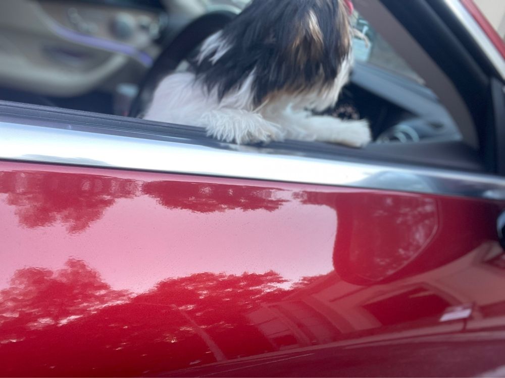 GT MOTORCARS 33 SE 13th Rd, Gainesville, Florida Body Shops Phone