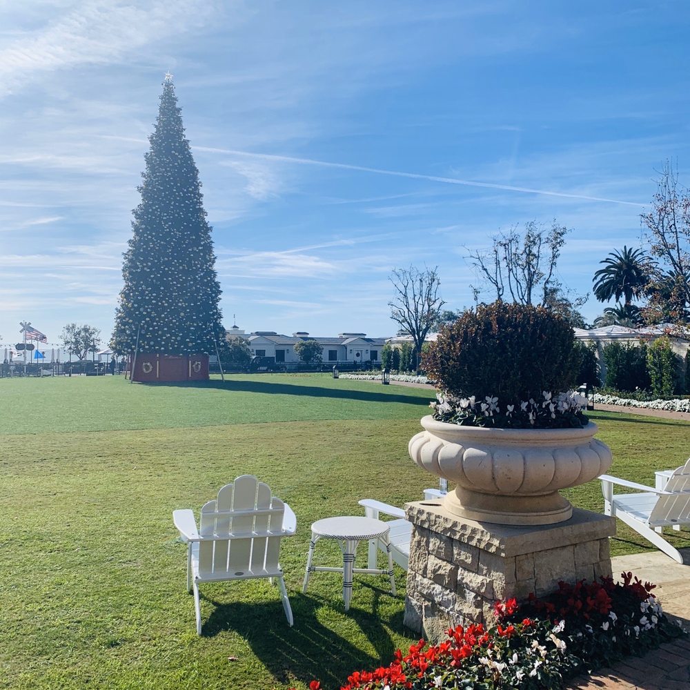 Rosewood Miramar Beach - 60 foot Xmas Treeee - Hotels Near Me - Montecito, California Rosewood Miramar Beach - 60 foot Xmas Treeee - Hotels Near Me - Montecito, California
