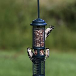 The Audubon Shop - A Squirrel proof nut feeder? Our birds love this one...