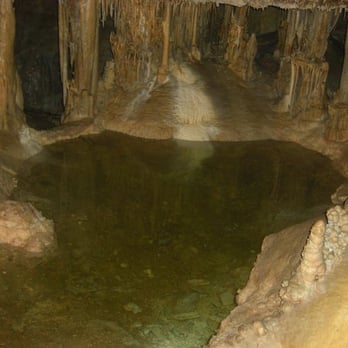 Lehman Caves - Collected water - Parks Near Me - Baker, Nevada