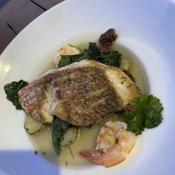 Vintage Year - Gulf Snapper - Steakhouses Near Me - Montgomery, Alabama Vintage Year - Gulf Snapper - Steakhouses Near Me - Montgomery, Alabama