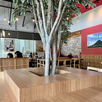 Marugame Udon - Indoor seating - Japanese Near Me - Berkeley, California Marugame Udon - Indoor seating - Japanese Near Me - Berkeley, California