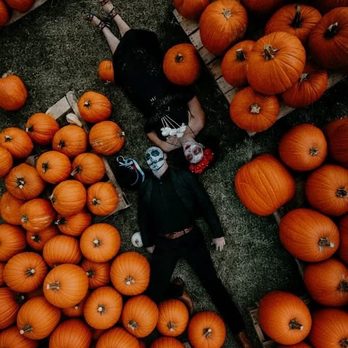 Goff Family Pumpkin Patch - By Luyi Zhao Photos - Pumpkin Patches Near Me - San Diego, California Goff Family Pumpkin Patch - By Luyi Zhao Photos - Pumpkin Patches Near Me - San Diego, California
