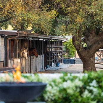 Patrick Loyd - Coldwell Banker Realty - Equestrian view in San Juan Capistrano - Real Estate Agents Near Me - Newport Beach, California Patrick Loyd - Coldwell Banker Realty - Equestrian view in San Juan Capistrano - Real Estate Agents Near Me - Newport Beach, California