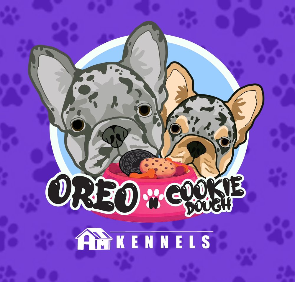 ALWAYS THINKING MILLIONS KENNEL Updated April 2024 Request