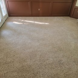Carpet after cleaning. - Interior room featuring beige carpet flooring and a wall with brown wainscoting panels. Sunlight creates a pattern of light and shadow on the carpet. The wall has an electrical outlet, and a window with curtains is partially visible on the left side.