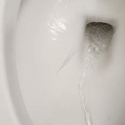 Scratched inside of the toilet bowl Scratched inside of the toilet bowl
