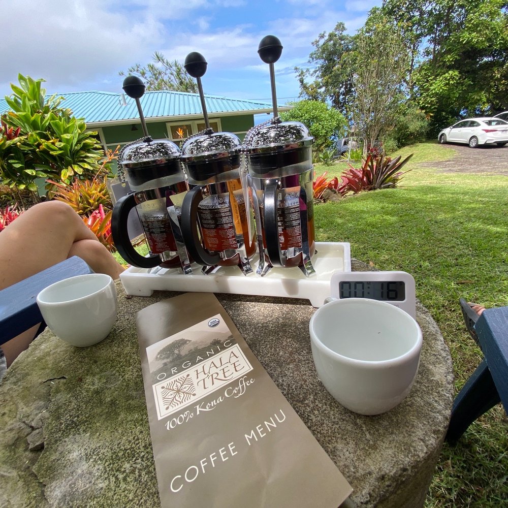 Hala Tree Coffee - Half flight of tasters - Attraction Farms Near Me - Captain Cook, Hawaii
