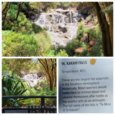 Hell's Gate Geothermal Reserve and Mud Spa by null