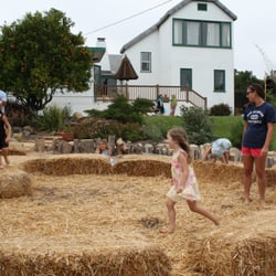 Quality Time Child Development Center