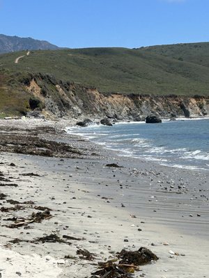 Andrew Molera State Park by null