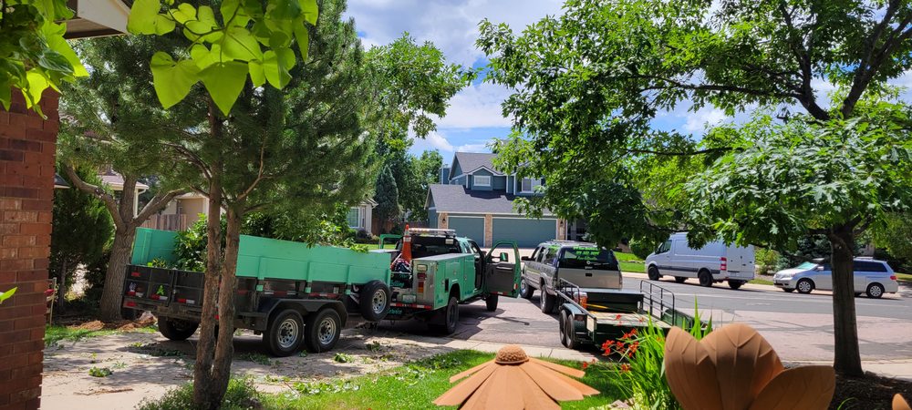 719 Tree Service - tree service in Colorado Springs, CO