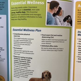 Optimum Wellness Banfield Vet Clinic Best Banfield Pet Plans Outlet