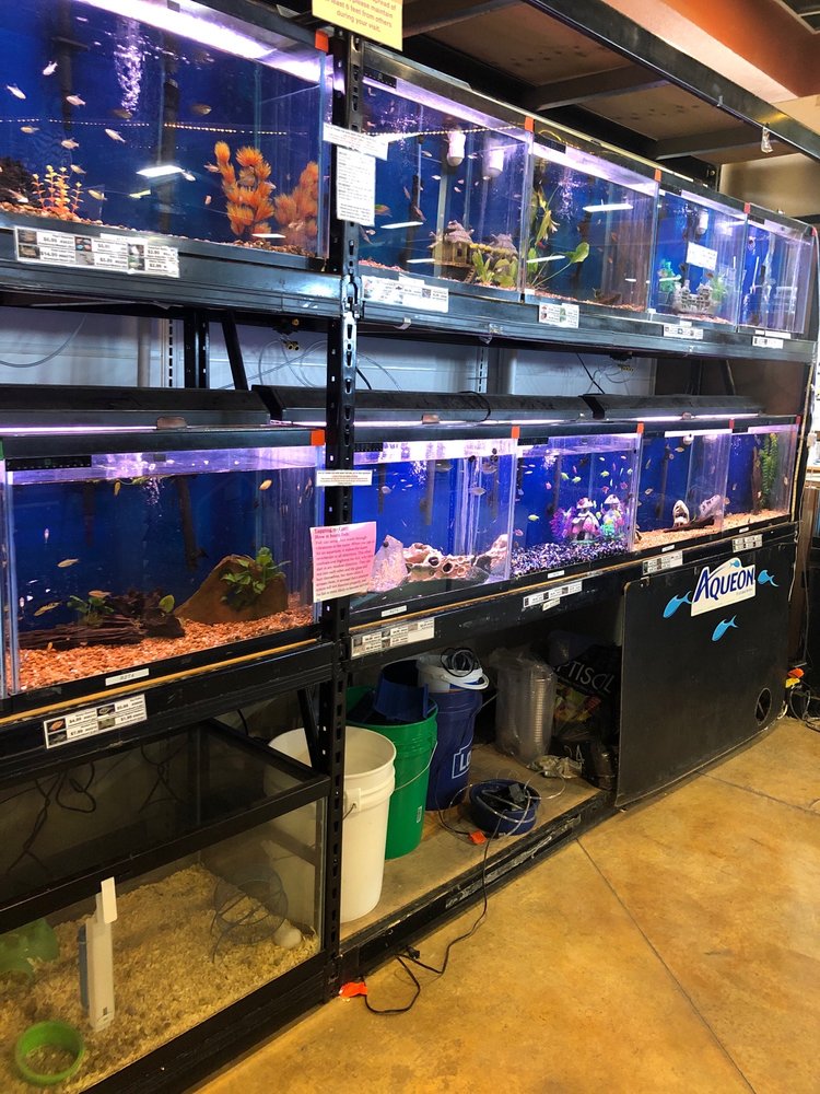 ZAMZOWS Updated October 2024 17 Photos & 16 Reviews 3650 E