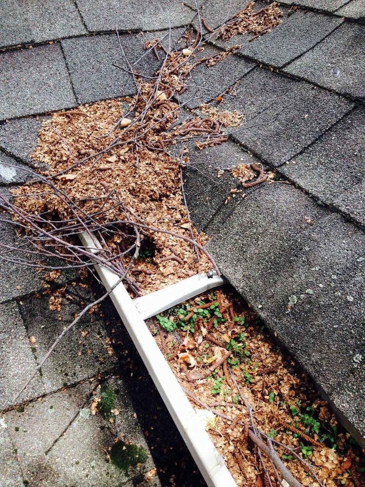 SQUEEGEE SQUAD Updated June 2024 63 Photos Union, Kentucky