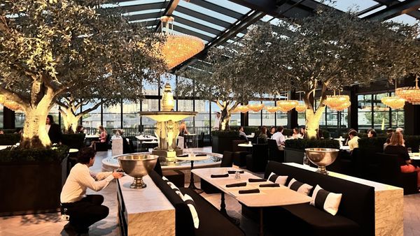 RH Rooftop Restaurant at RH Dallas by null