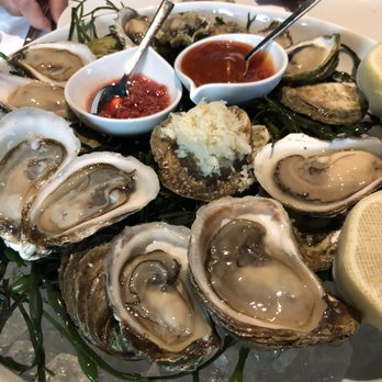 Sash - Oysters - Canadian (New) Near Me - Toronto, Ontario