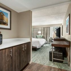 Hampton Inn Richmond-North/Ashland - Guest room