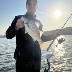 Orion Fishing Charters