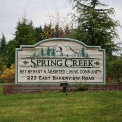 Spring Creek by Bonaventure