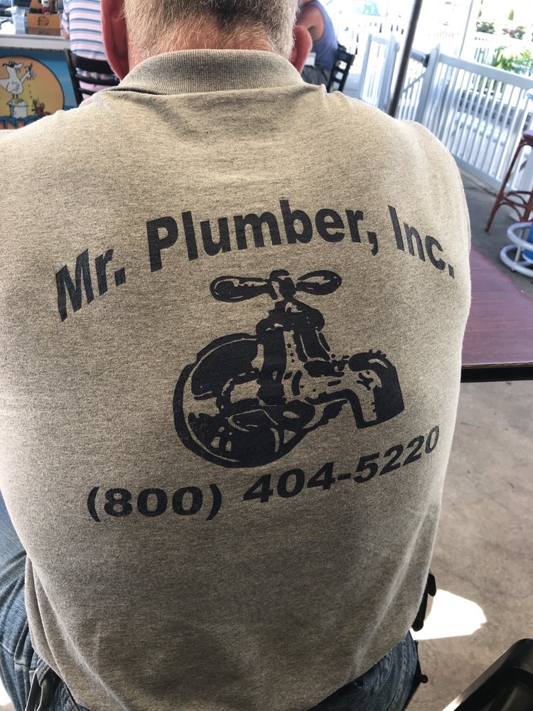 Slide of Mr Plumber