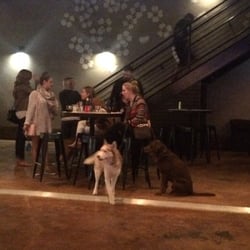 The Dogwood Domain - It's a puppy party