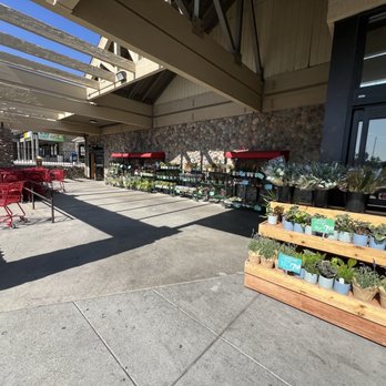 Trader Joe's - Plants - Grocery Near Me - Rancho Cucamonga, California Trader Joe's - Plants - Grocery Near Me - Rancho Cucamonga, California