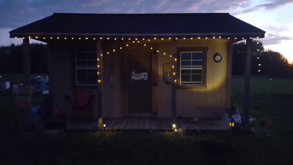 Annie Bee Honey Logo