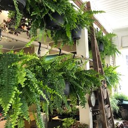 East End Market Tamaqua - no contact sales coming soon