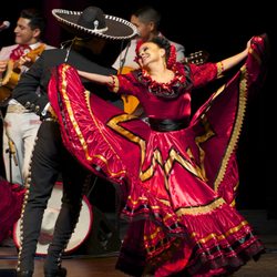 Danzarts Academy - DanzArts  Artistic Director - Patricia Astorga-Casey