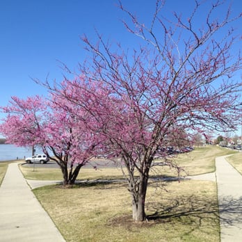 Mississippi Greenbelt Park - March 10, 2012; Mississippi Greenbelt Park - Harbor Town, Memphis TN - Parks Near Me - Memphis, Tennessee Mississippi Greenbelt Park - March 10, 2012; Mississippi Greenbelt Park - Harbor Town, Memphis TN - Parks Near Me - Memphis, Tennessee