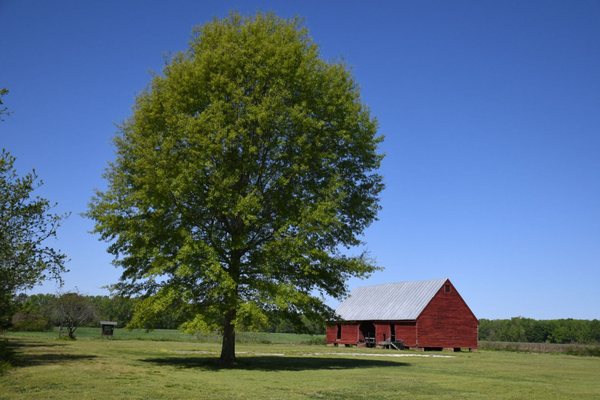 Belle Isle State Park by null