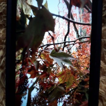 Sheffield Park Garden - Landmarks & Historical Buildings Near Me - Sheffield Park, ESX