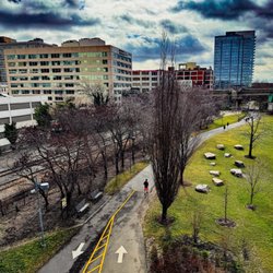 Schuylkill Banks - The view above the path