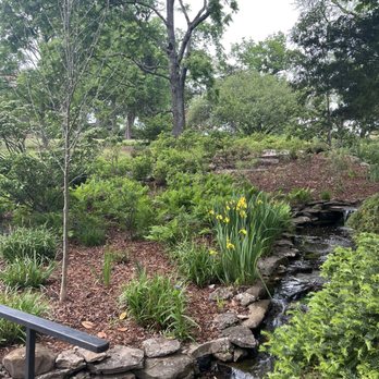 Cheekwood - Water garden - Botanical Gardens Near Me - Nashville, Tennessee