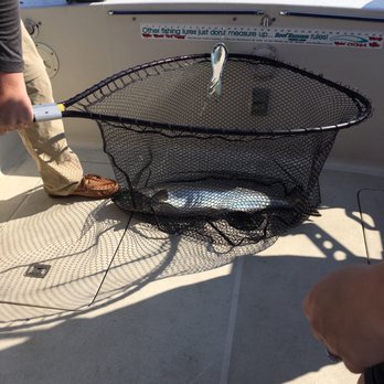Upper Canada Fishing Charters - Fishing Near Me - Mississauga, Ontario Upper Canada Fishing Charters - Fishing Near Me - Mississauga, Ontario