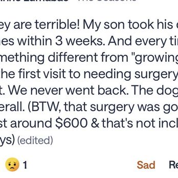 4 Paws Pet Hospital - Veterinarians Near Me - Bakersfield, California