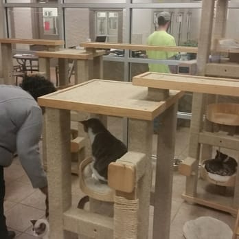 Greater Birmingham Humane Society - Animal Shelters Near Me - Birmingham, Alabama