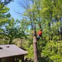 E&D Tree Services